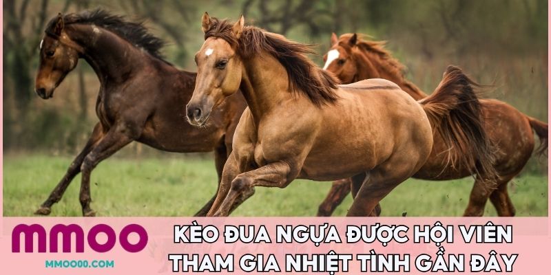 Kèo đua ngựa được hội viên tham gia nhiệt tình gần đây 